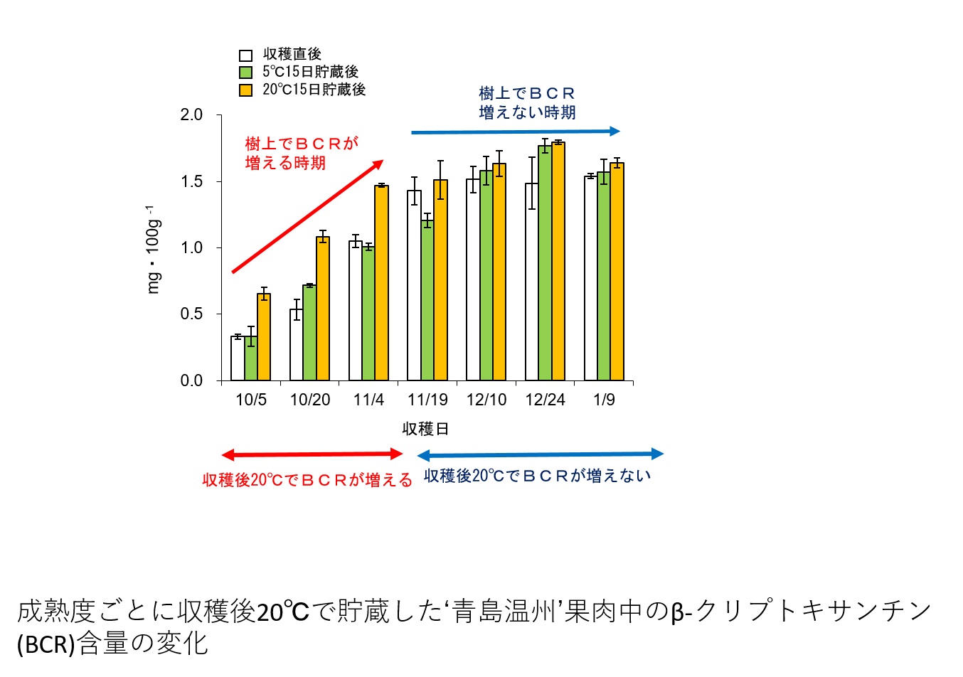 相似象学会誌4号　サラダ 新商品のサラダが気になる！という方は「😊」の絵文字で教えて